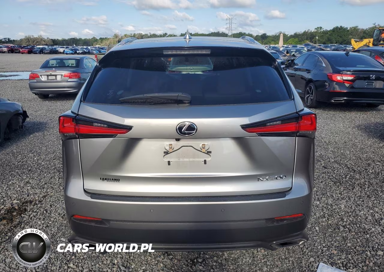 2021 Lexus Nx 300 Base VIN:JTJGARBZ6M2195783 - 6