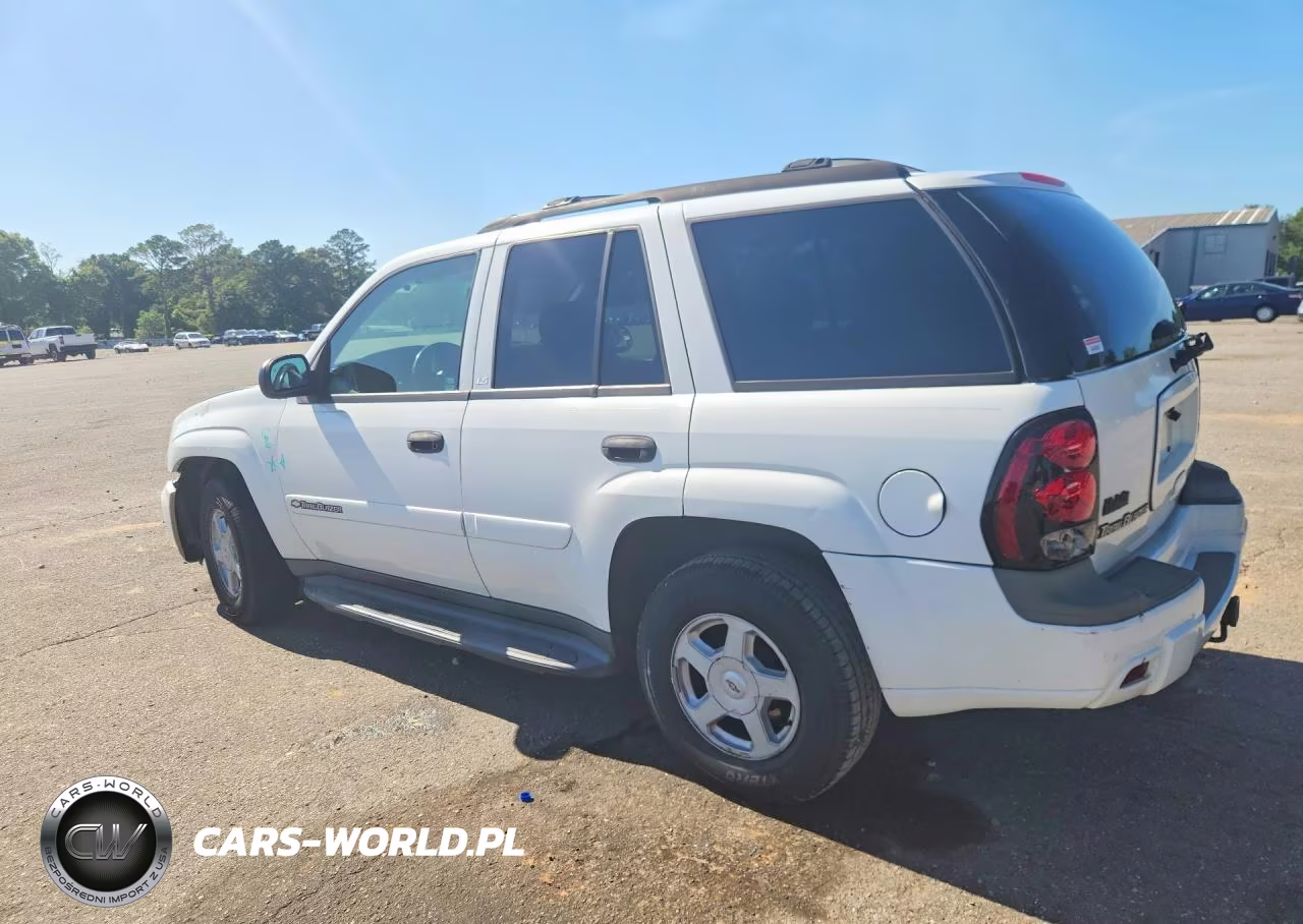 2002 Chevrolet Trailblazer VIN:1GNDS13S422516343 - 2
