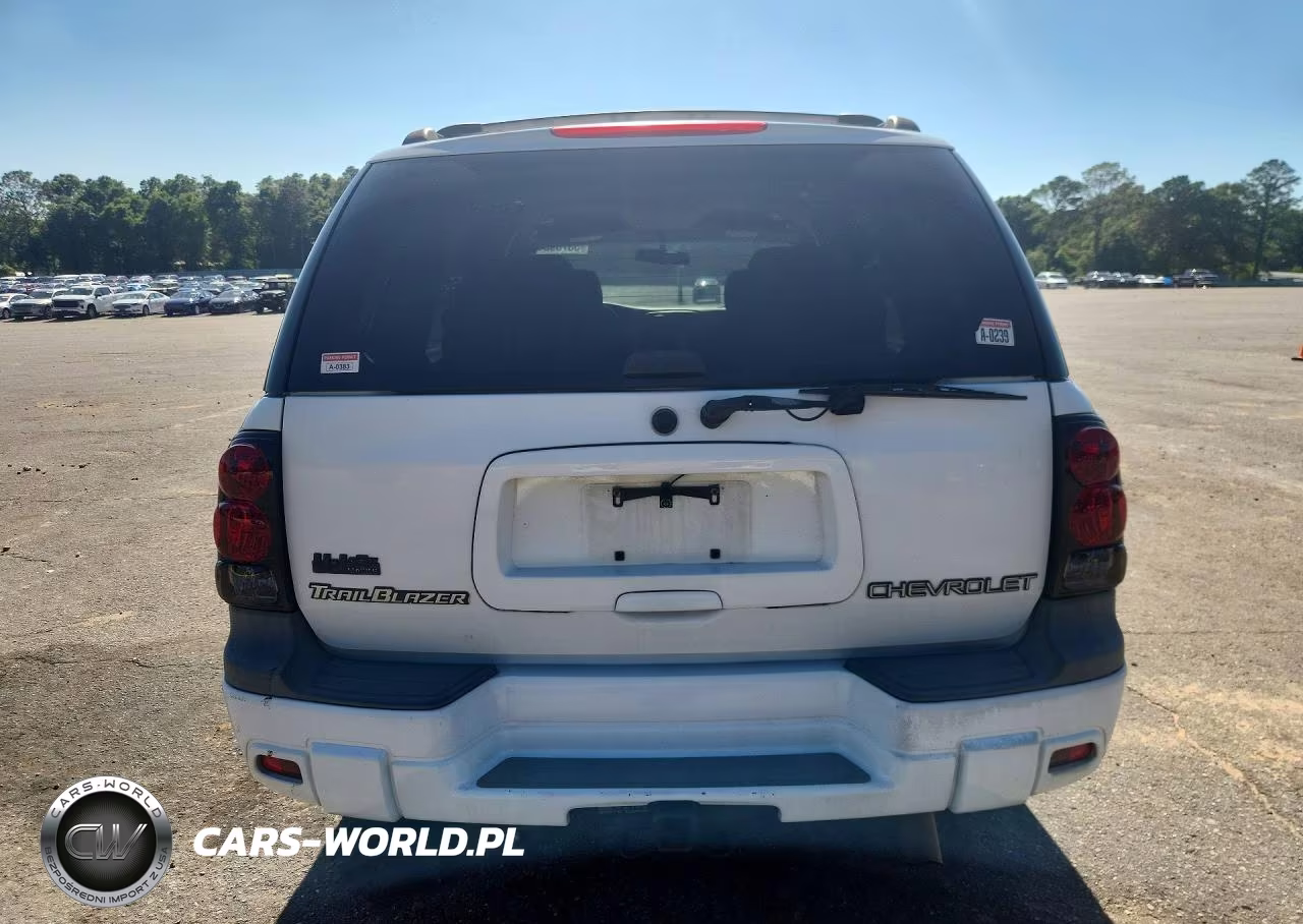 2002 Chevrolet Trailblazer VIN:1GNDS13S422516343 - 6