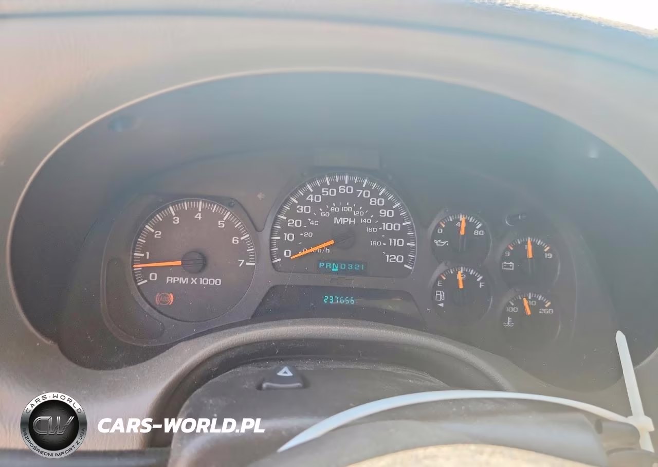 2002 Chevrolet Trailblazer VIN:1GNDS13S422516343 - 9