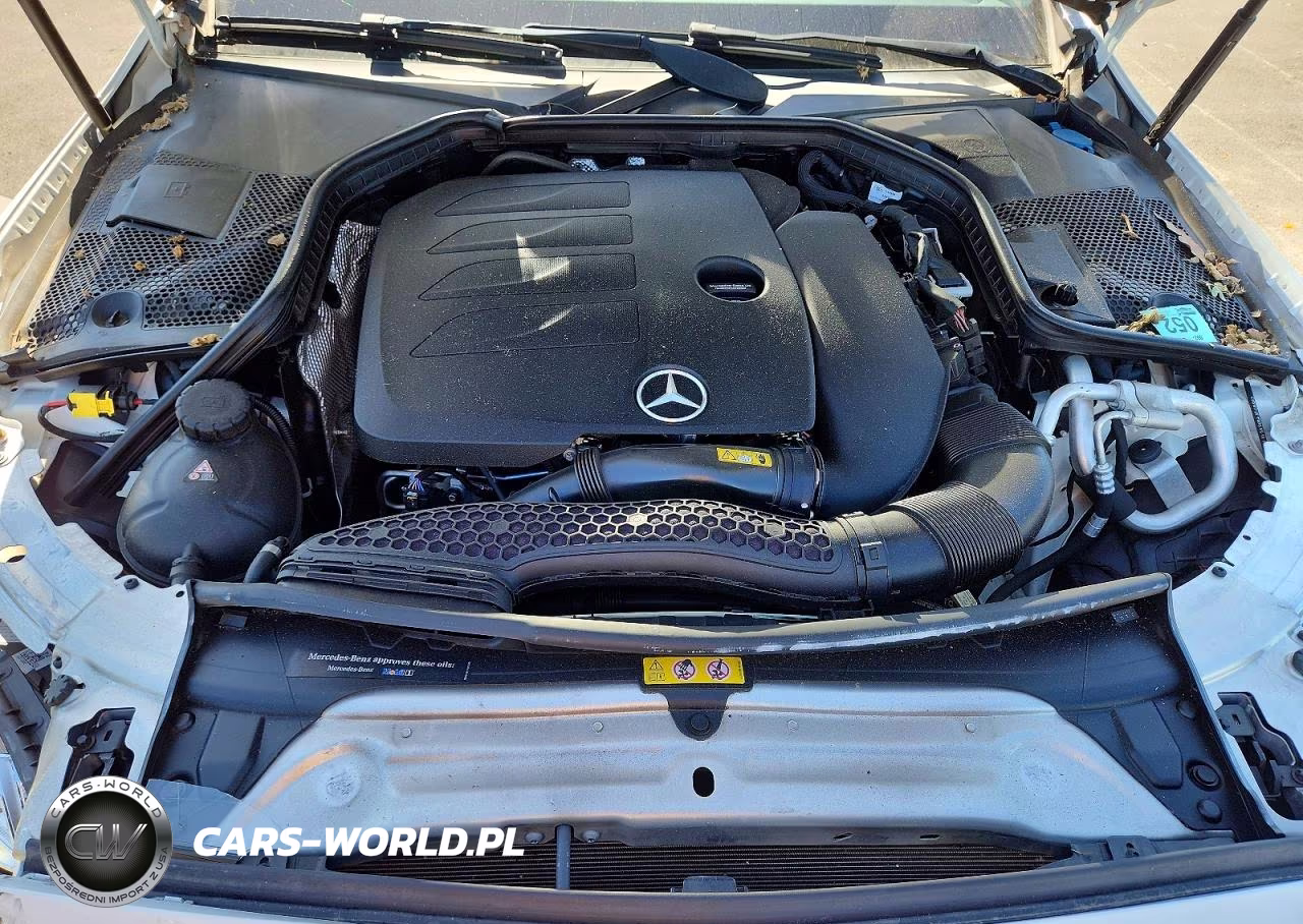 2019 Mercedes-Benz C 300 VIN:55SWF8DBXKU300005 - 11
