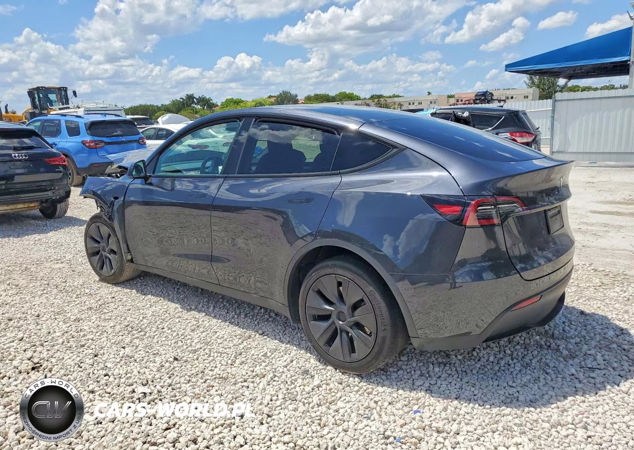 2025 Tesla Model Y VIN:7SAYGDED7SF238291 - 2
