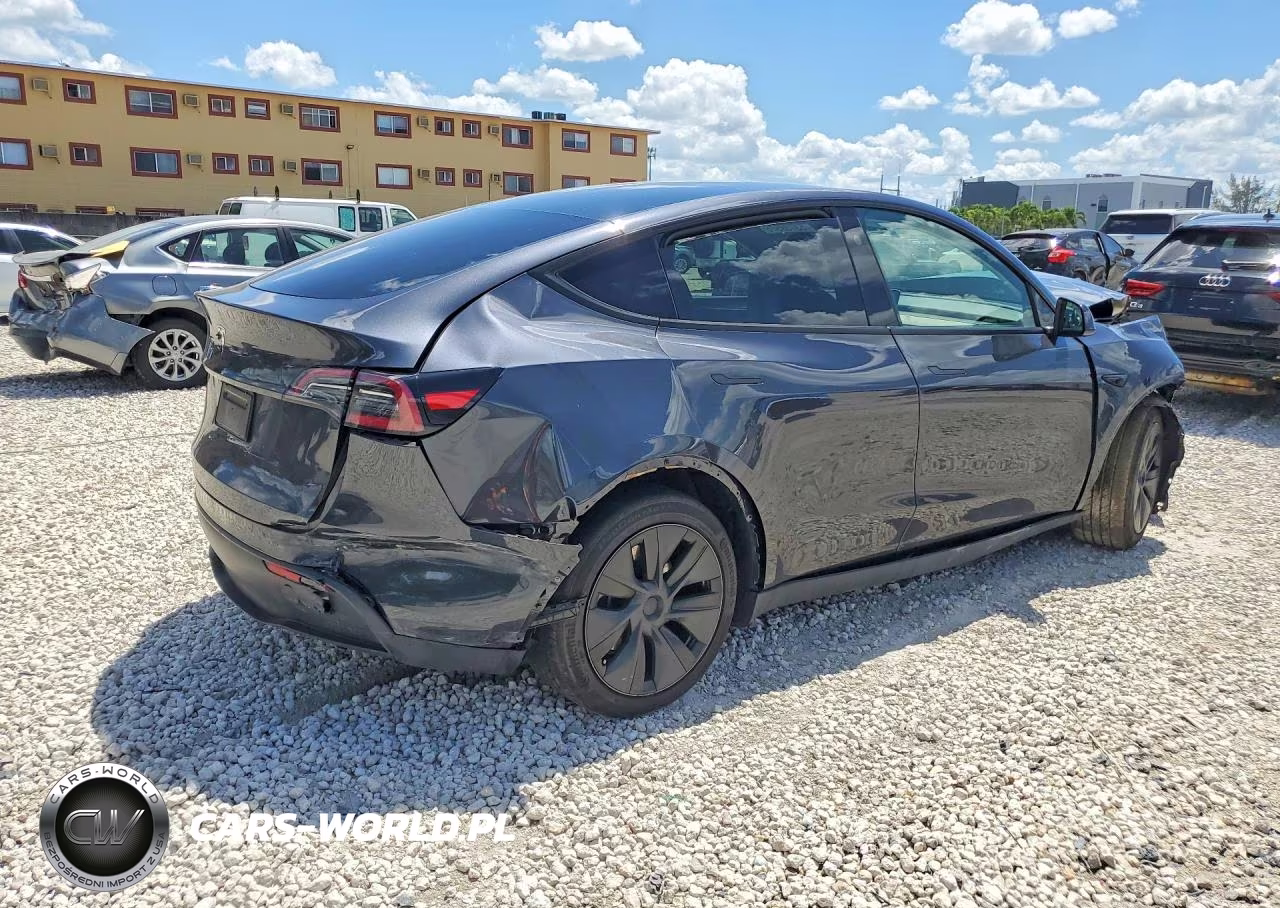 2025 Tesla Model Y VIN:7SAYGDED7SF238291 - 3