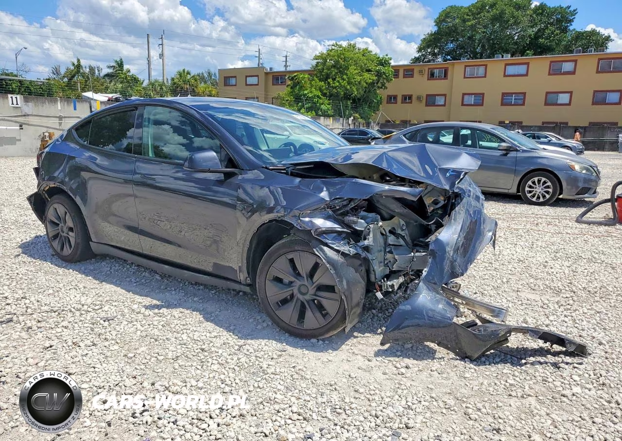 2025 Tesla Model Y VIN:7SAYGDED7SF238291 - 4