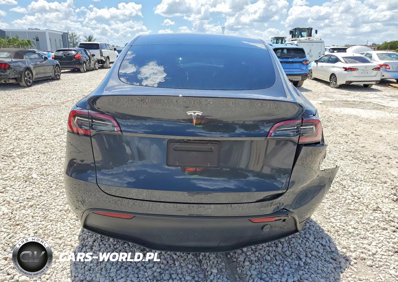 2025 Tesla Model Y VIN:7SAYGDED7SF238291 - 6