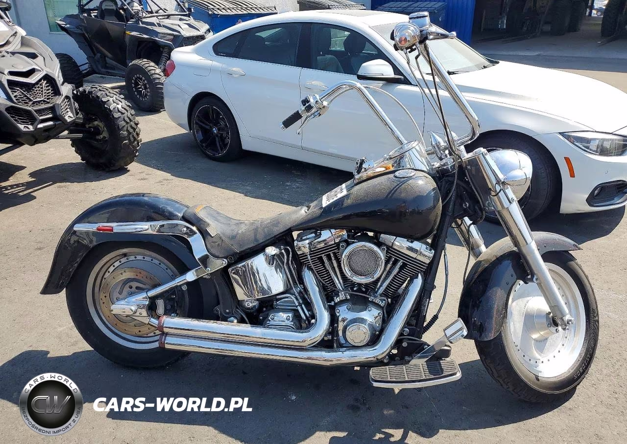 2002 Harley Davidson Flstf