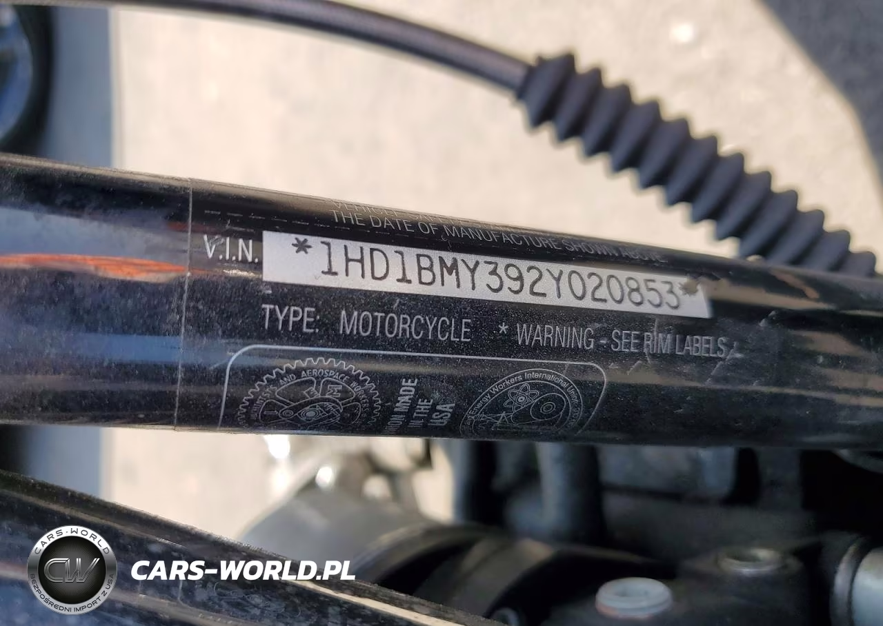2002 Harley Davidson Flstf VIN:1HD1BMY392Y020853 - 9