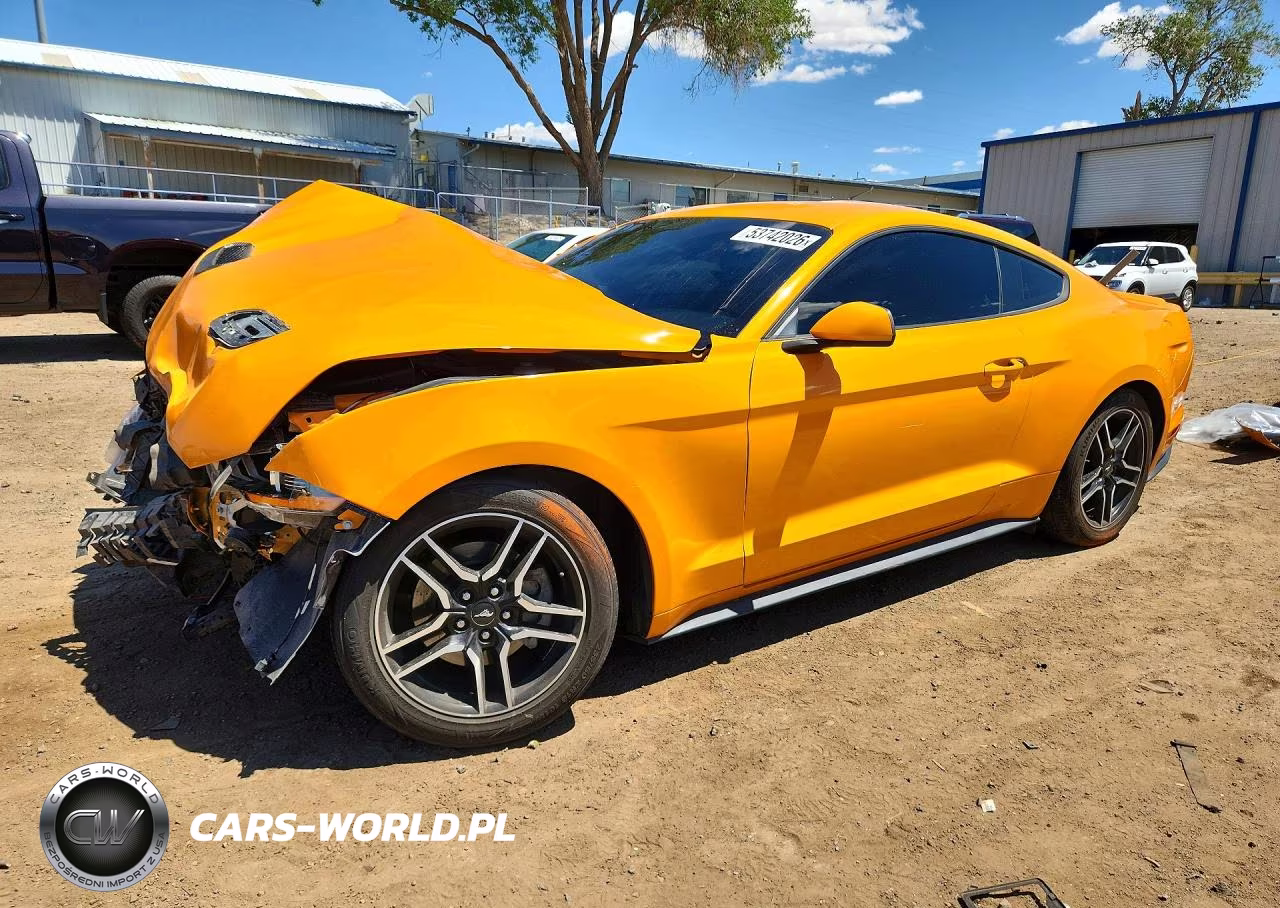 2019 Ford Mustang