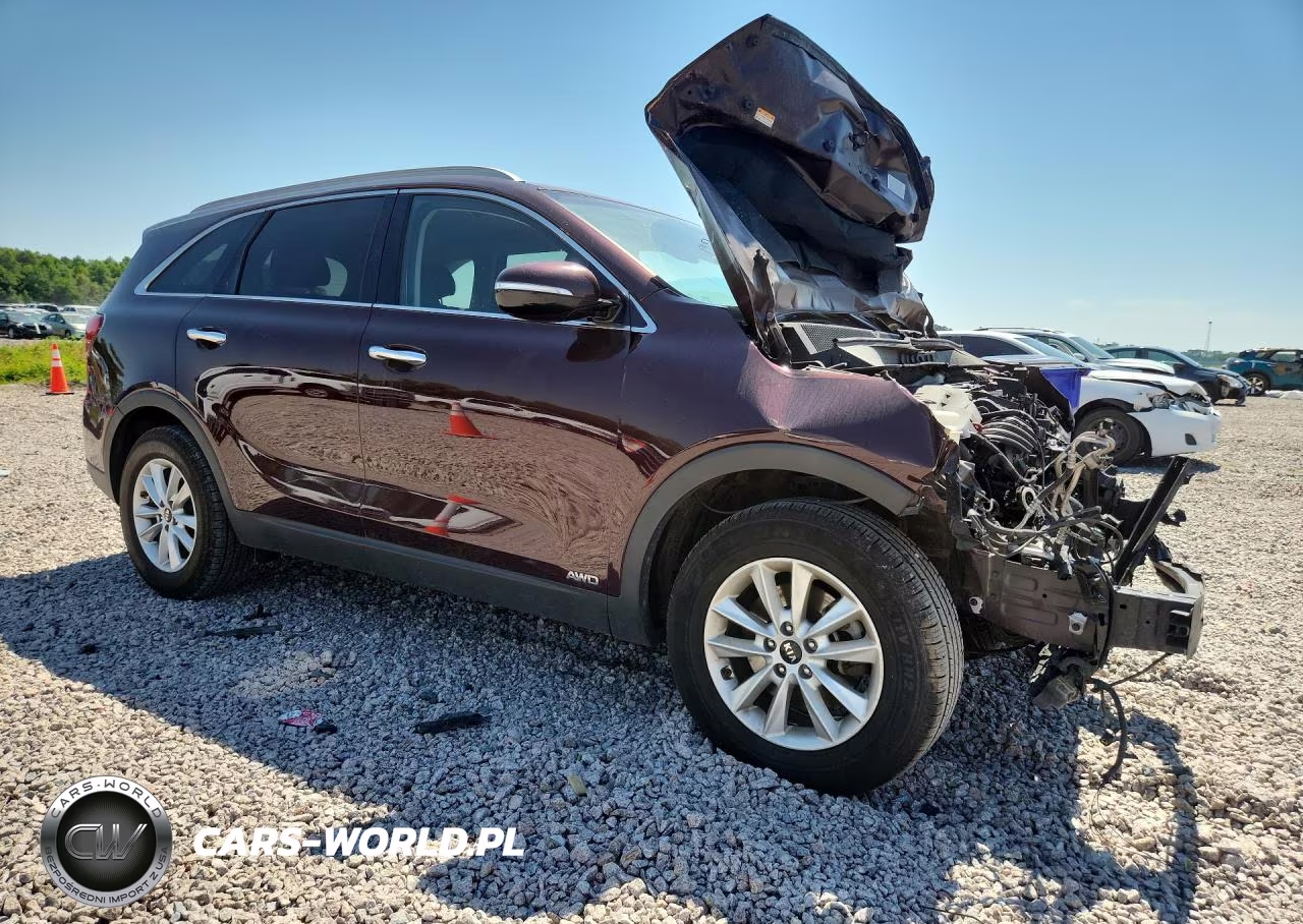 2019 Kia Sorento Lx VIN:5XYPGDA30KG437472 - 4