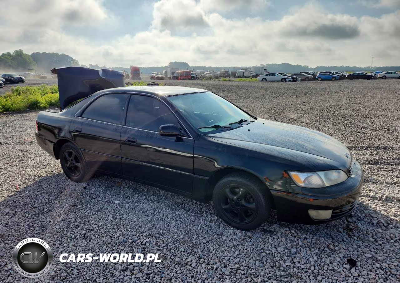 1998 Lexus Es 300 VIN:JT8BF28G9W0133836 - 4