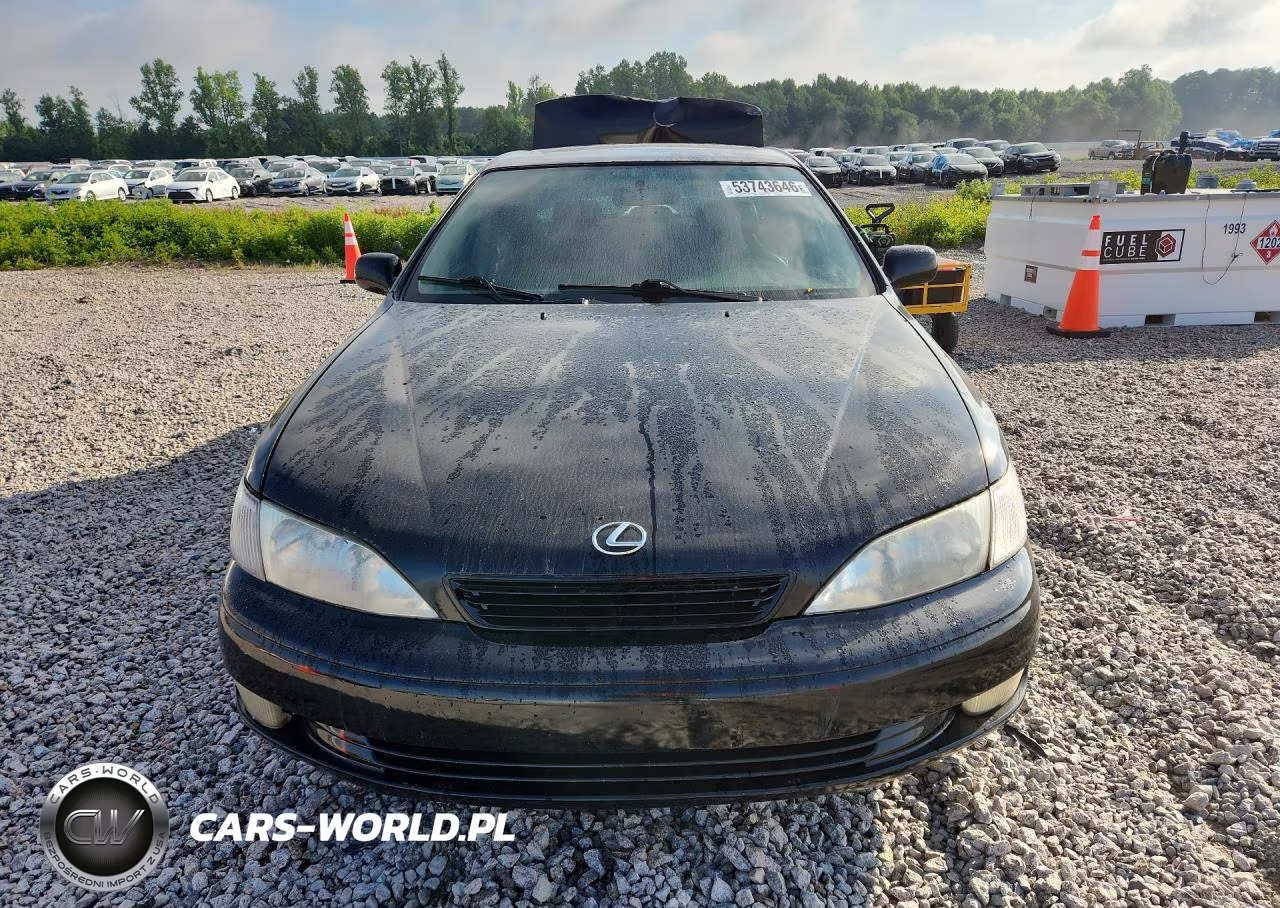 1998 Lexus Es 300 VIN:JT8BF28G9W0133836 - 5