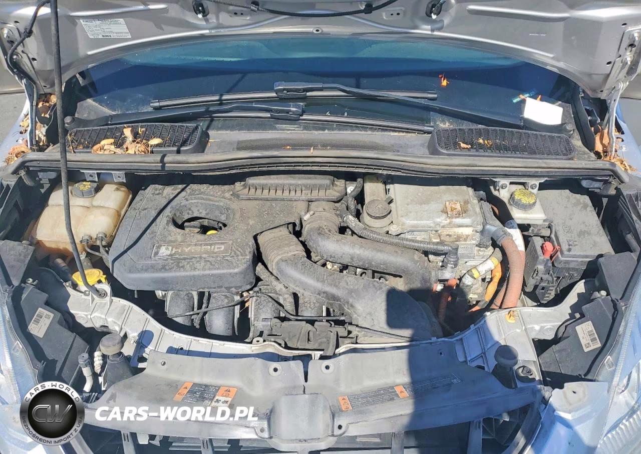 2017 Ford C-Max Titanium VIN:1FADP5DU5HL113241 - 12
