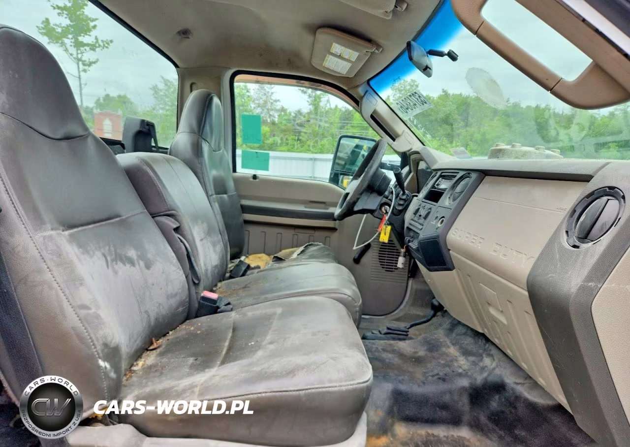 2009 Ford F350 Super Duty VIN:1FTSF31519EB23485 - 10