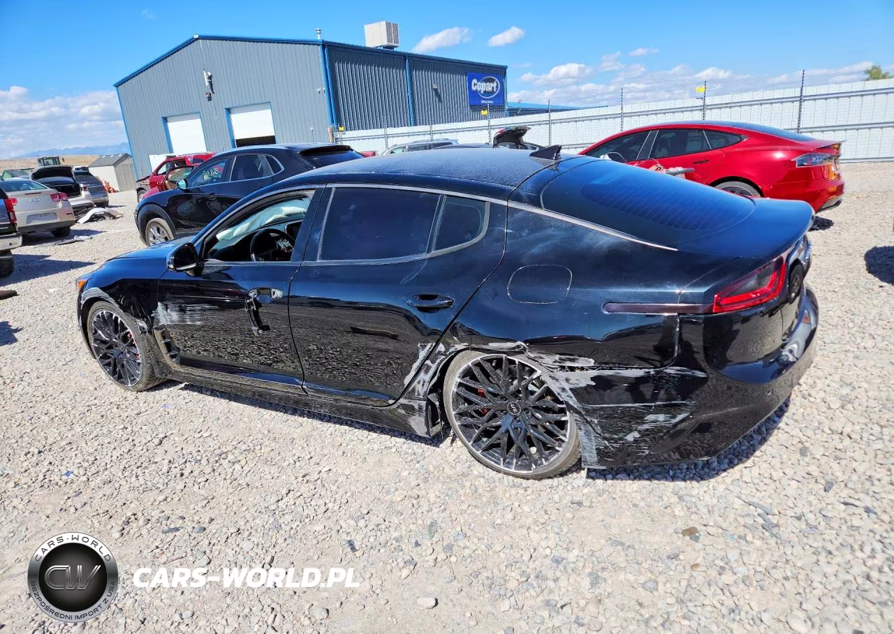 2020 Kia Stinger Gt VIN:KNAE35LC6L6074876 - 2