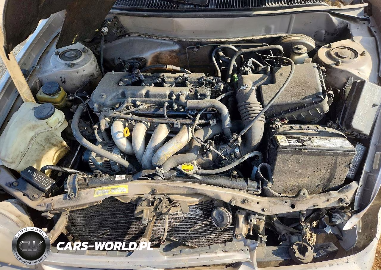 2000 Toyota Corolla Ve VIN:1NXBR12E2YZ373487 - 11