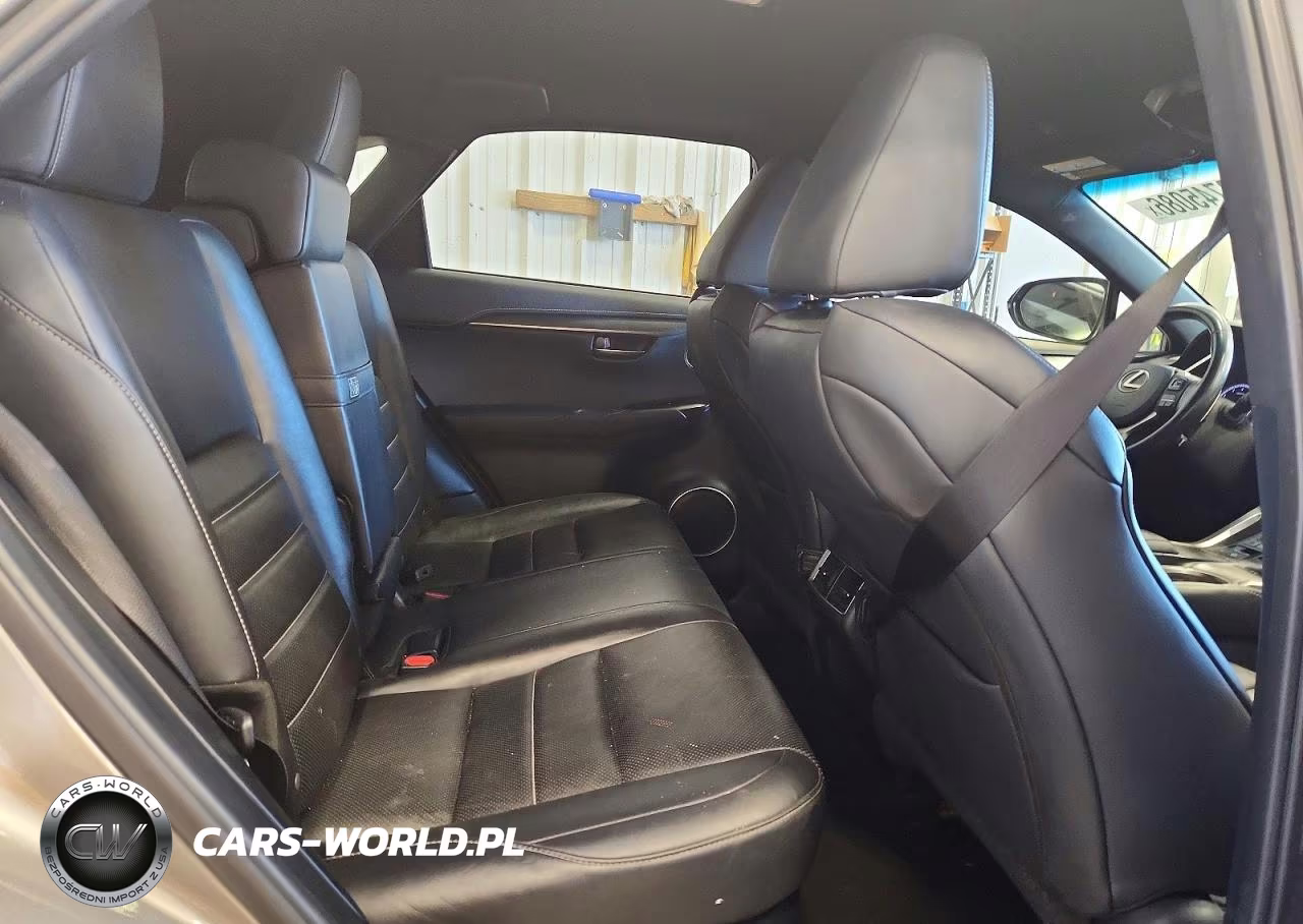 2018 Lexus Nx 300 F Sport VIN:JTJYARBZXJ2098733 - 10