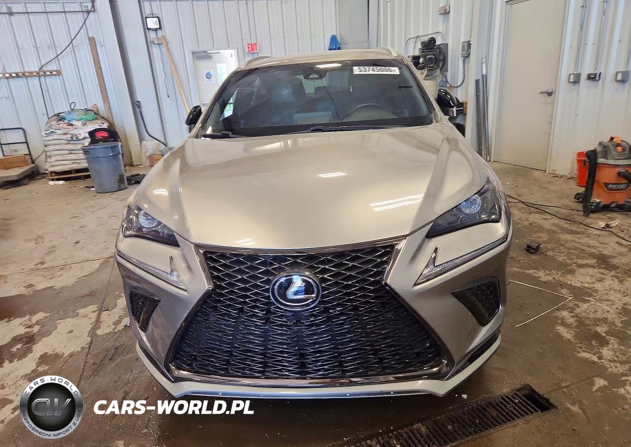 2018 Lexus Nx 300 F Sport VIN:JTJYARBZXJ2098733 - 5