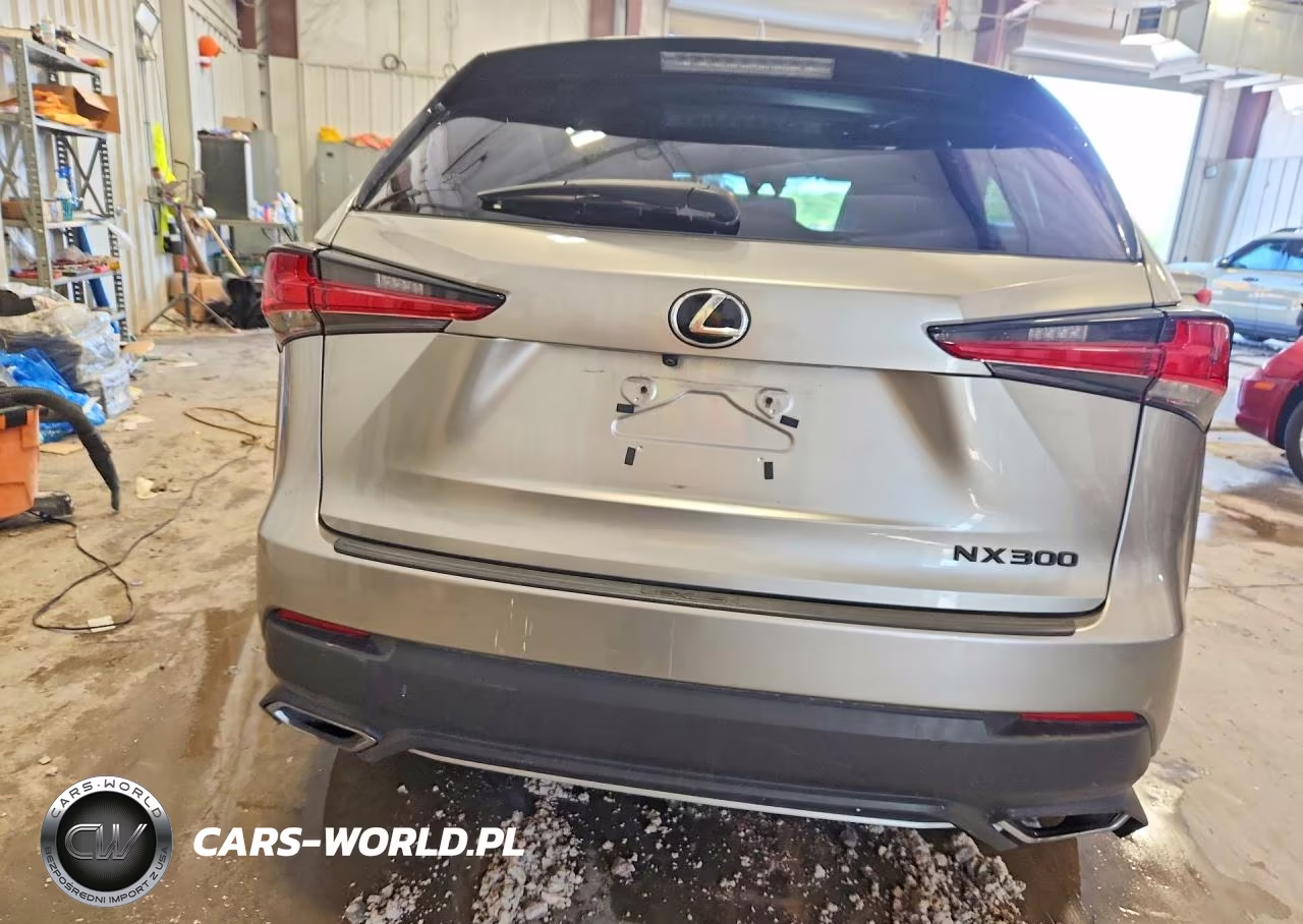 2018 Lexus Nx 300 F Sport VIN:JTJYARBZXJ2098733 - 6
