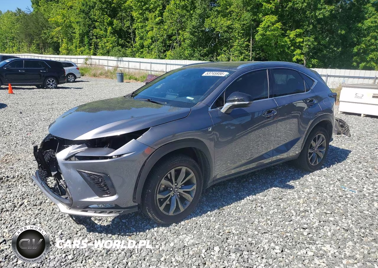 2021 Lexus Nx 300 F Sport