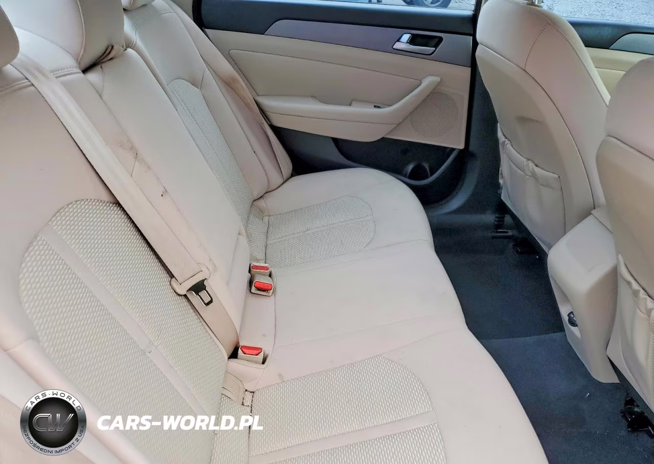 2015 Hyundai Sonata Eco VIN:5NPE24AA7FH141321 - 10