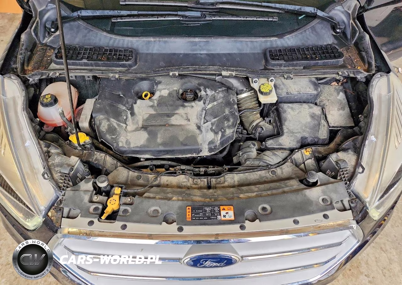 2019 Ford Escape Titanium VIN:1FMCU9J94KUC26312 - 11