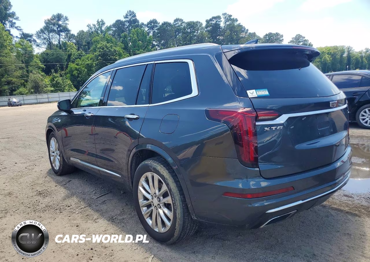 2021 Cadillac Xt6 Premium Luxury VIN:1GYKPCRS9MZ142501 - 2
