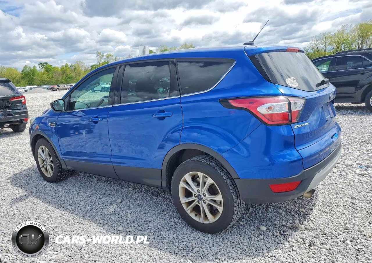 2017 Ford Escape Se VIN:1FMCU0GD3HUC45448 - 2