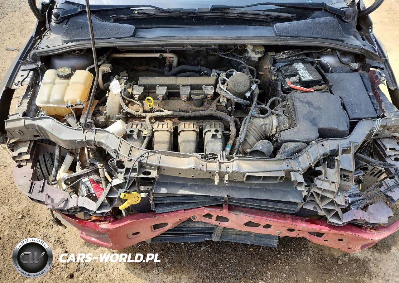 2014 Ford Focus Se VIN:1FADP3F20EL216157 - 11