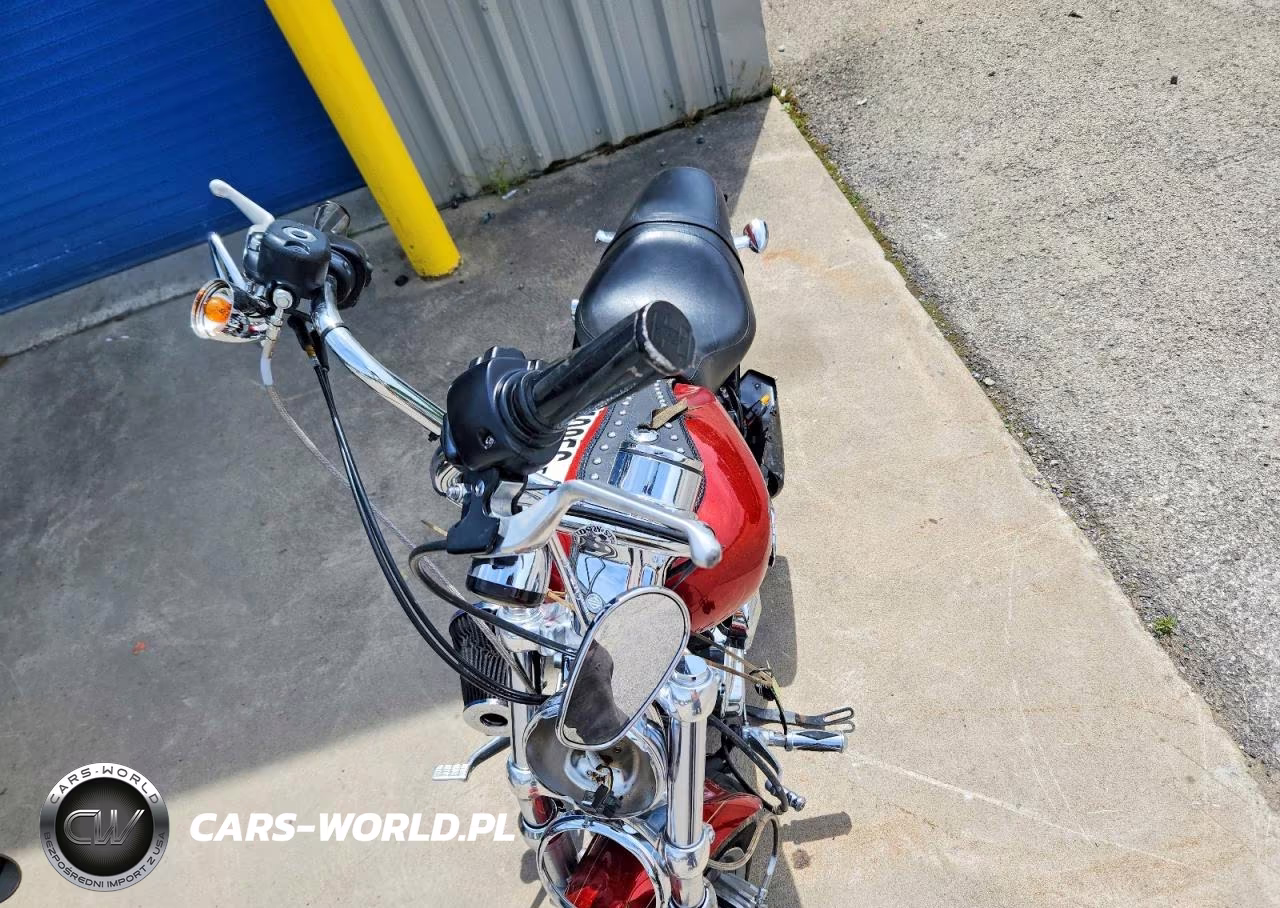 2014 Harley Davidson Xl1200 C VIN:1HD1CT310EC433856 - 5