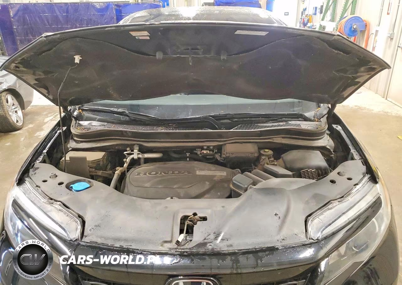 2019 Honda Passport Sport VIN:5FNYF8H2XKB030858 - 12