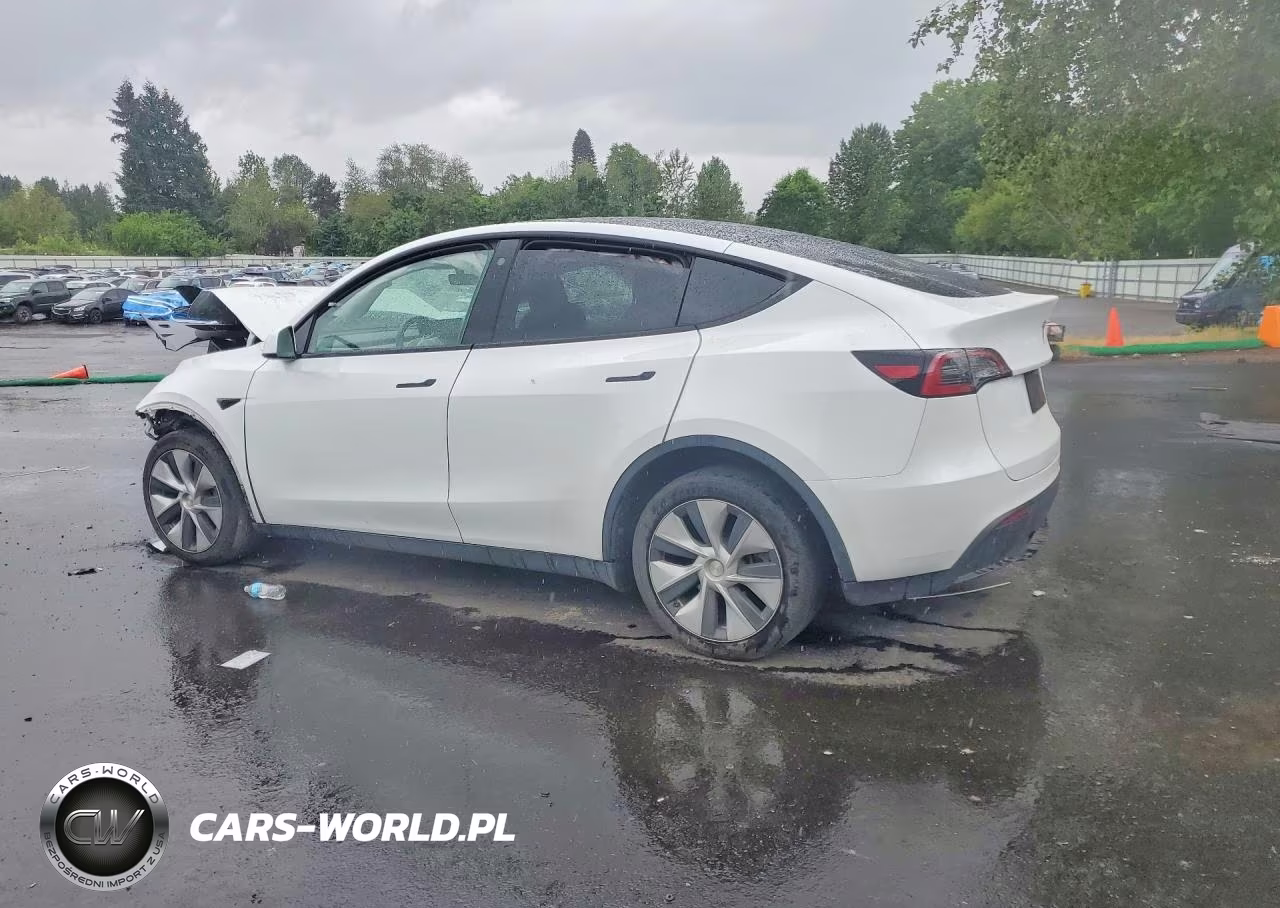 2023 Tesla Model Y VIN:7SAYGDEE7PF660304 - 2
