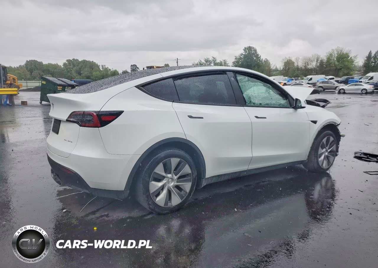 2023 Tesla Model Y VIN:7SAYGDEE7PF660304 - 3