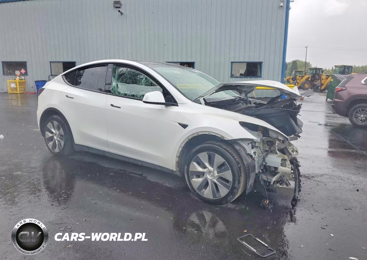 2023 Tesla Model Y VIN:7SAYGDEE7PF660304 - 4