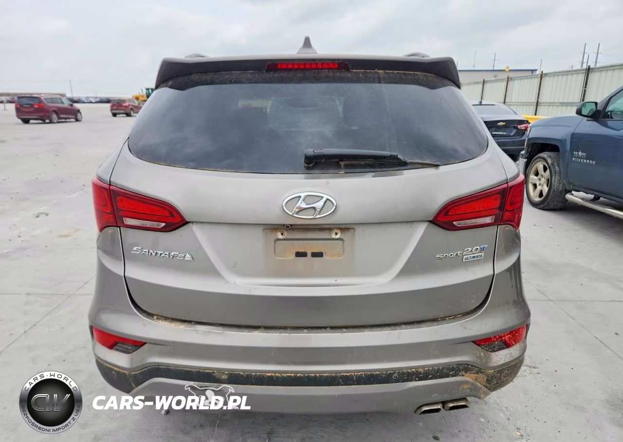 2017 Hyundai Santa Fe Sport 2.0T Ultimate VIN:5XYZW4LA2HG501754 - 6