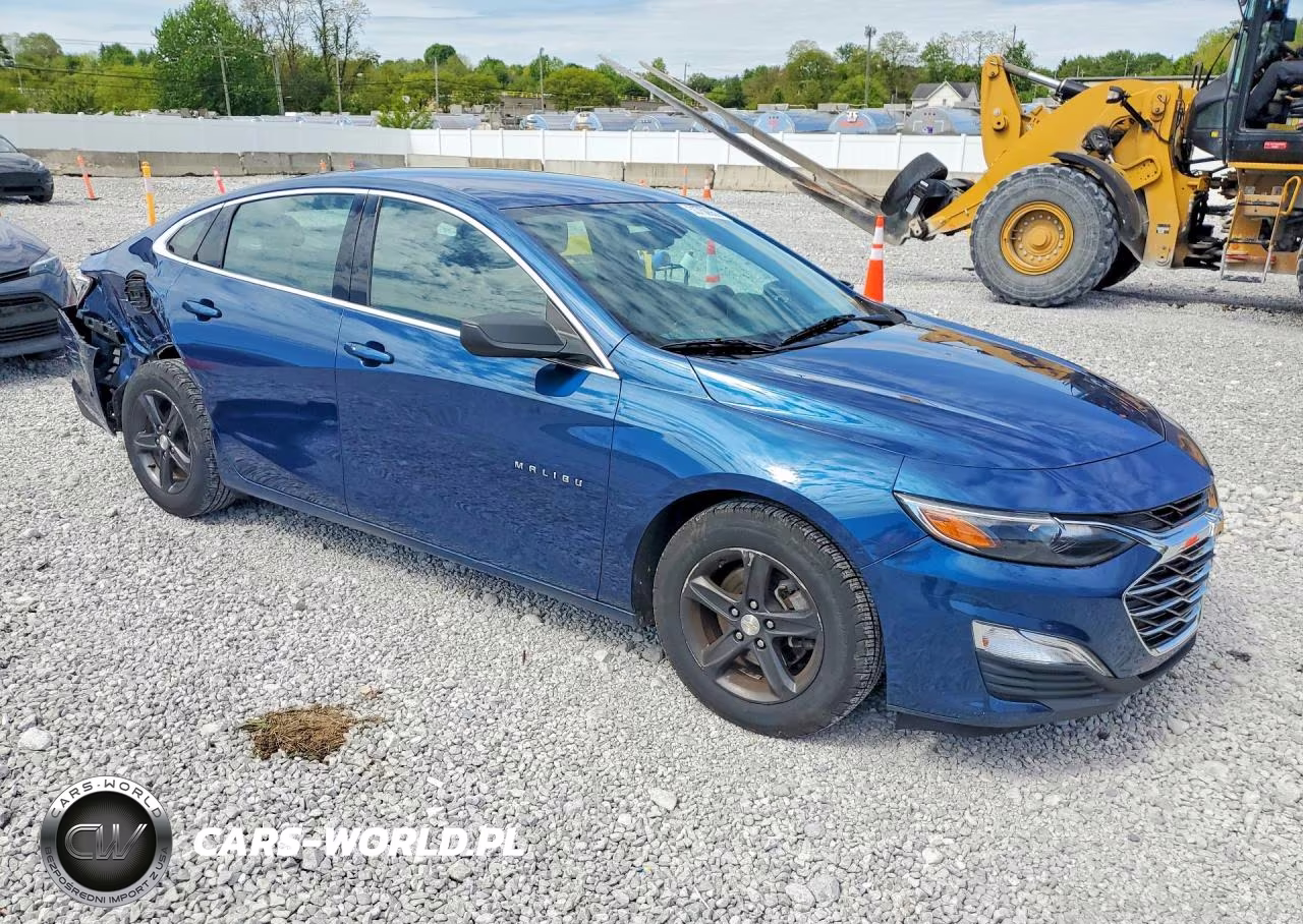 2019 Chevrolet Malibu Ls VIN:1G1ZB5ST2KF201932 - 4