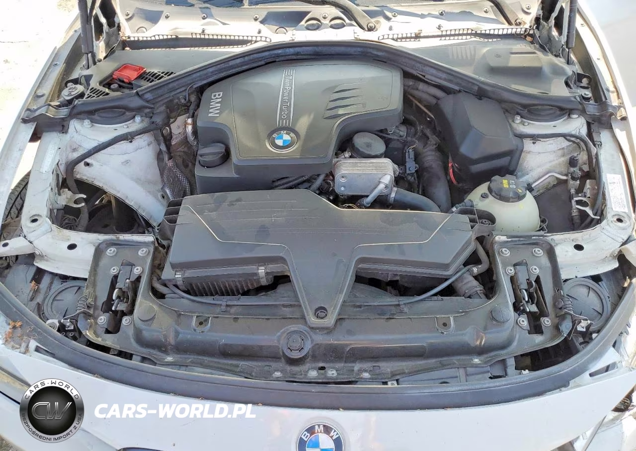BMW 320I VIN:WBA3B1G50FNT06168 - 11