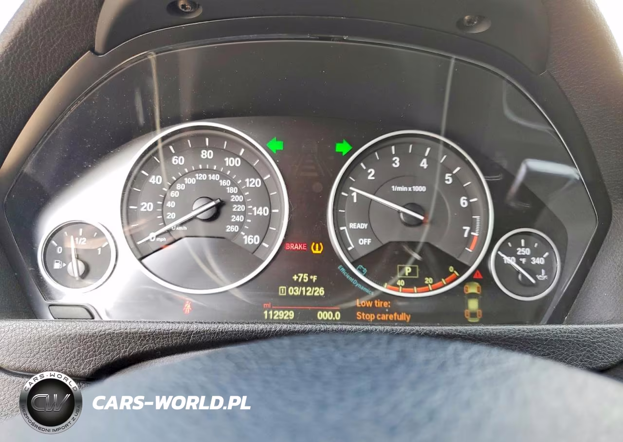 BMW 320I VIN:WBA3B1G50FNT06168 - 9