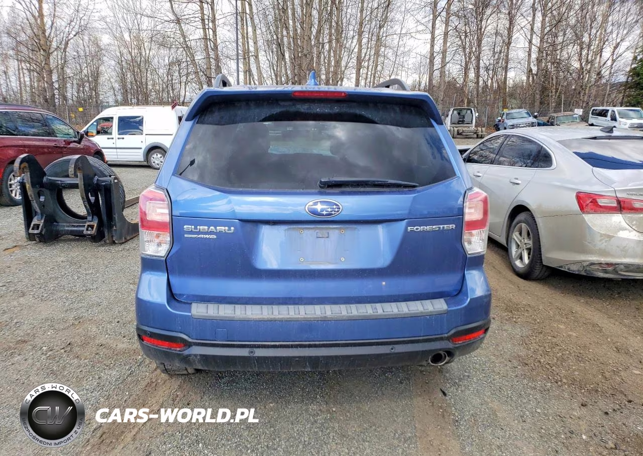 2018 Subaru Forester 2.5I Touring VIN:JF2SJAWC7JH433218 - 6