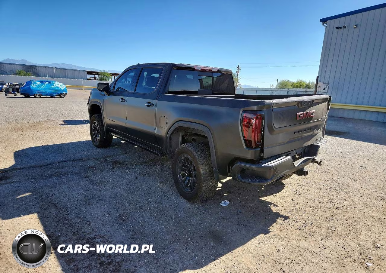 2020 GMC Sierra K1500 Denali VIN:1GTU9FEL9LZ174887 - 2