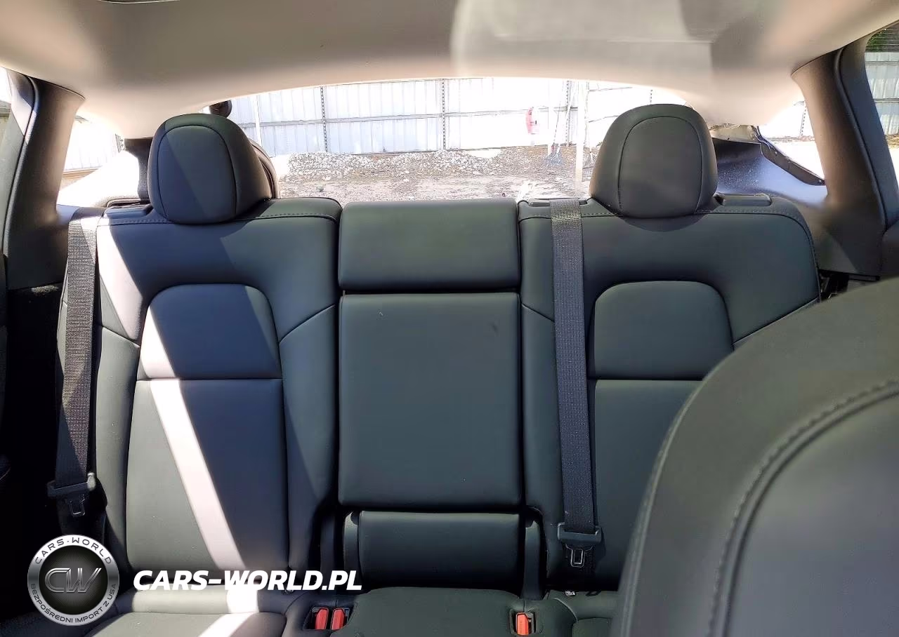2024 Tesla Model Y VIN:7SAYGDEE9RA231178 - 10