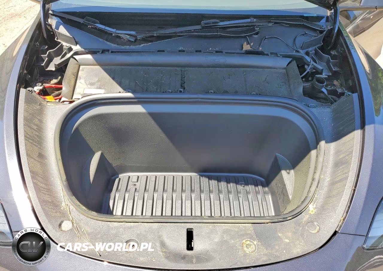 2024 Tesla Model Y VIN:7SAYGDEE9RA231178 - 12