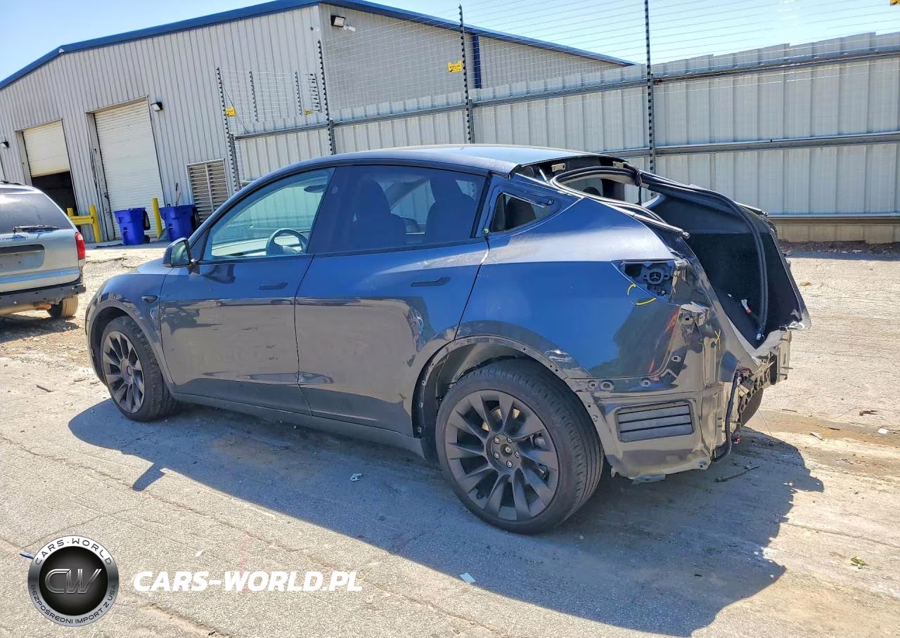 2024 Tesla Model Y VIN:7SAYGDEE9RA231178 - 2