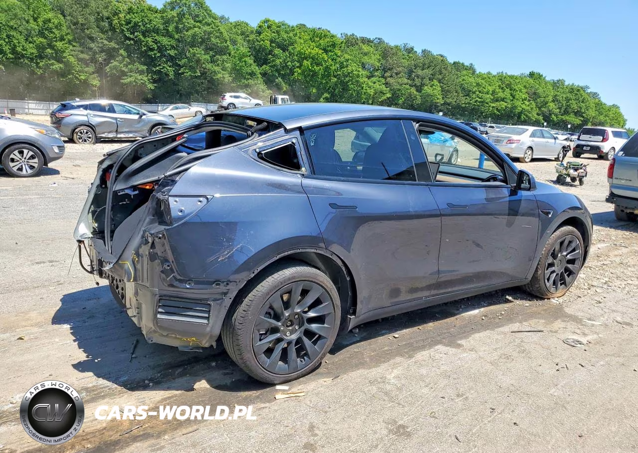 2024 Tesla Model Y VIN:7SAYGDEE9RA231178 - 3