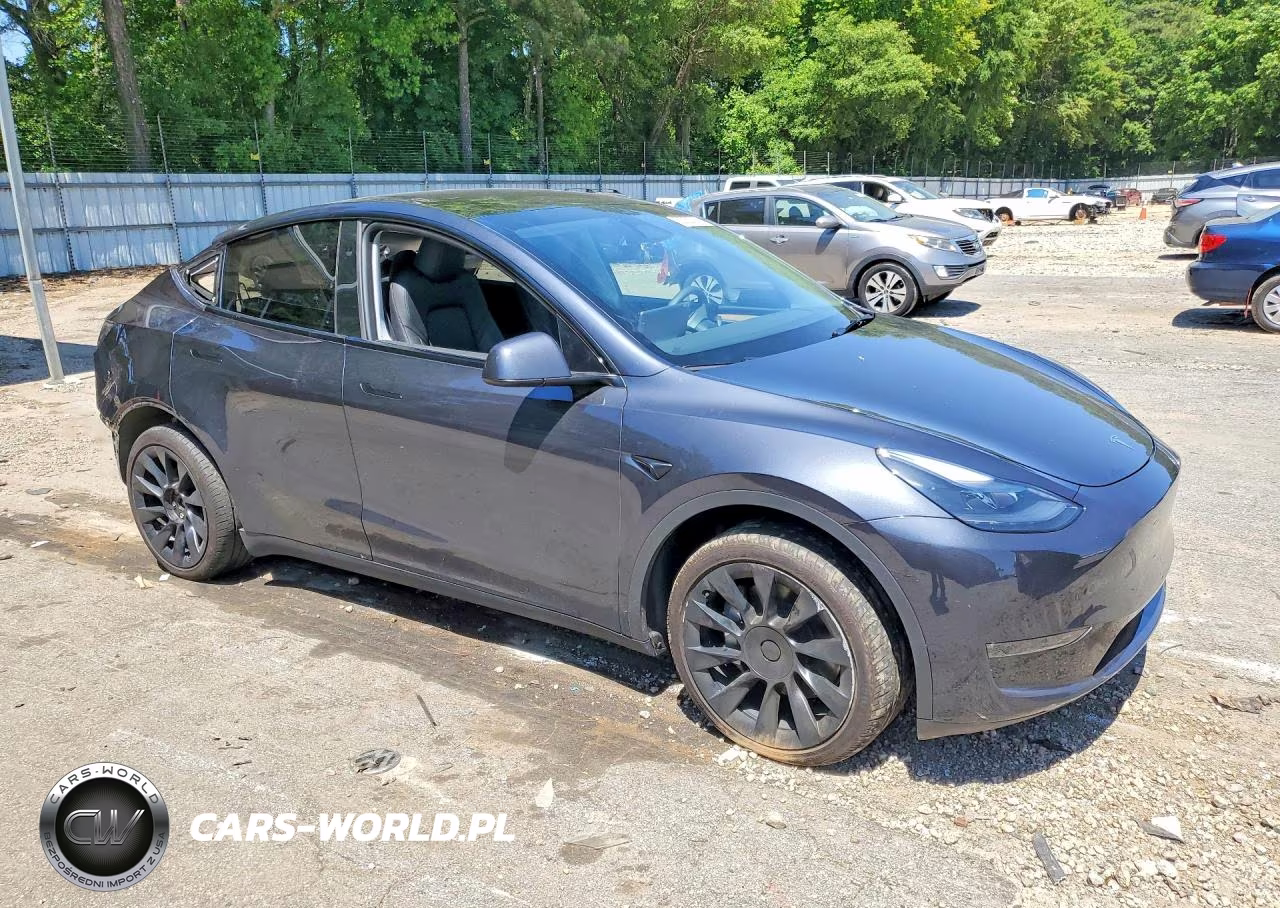 2024 Tesla Model Y VIN:7SAYGDEE9RA231178 - 4