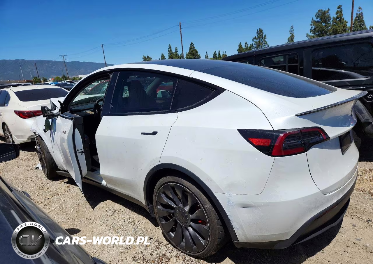 2023 Tesla Model Y VIN:7SAYGDEF7PF836731 - 2