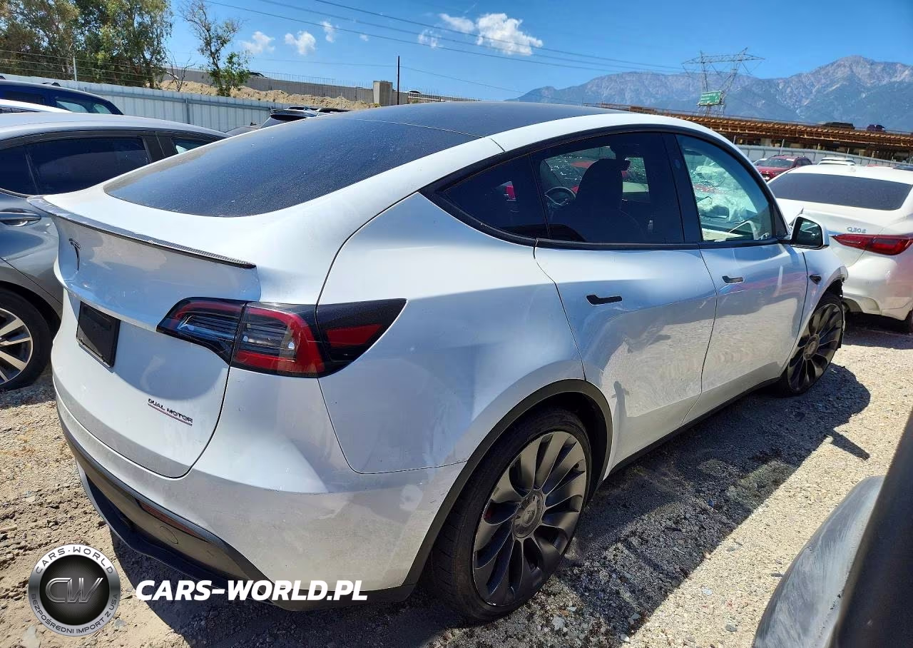 2023 Tesla Model Y VIN:7SAYGDEF7PF836731 - 3
