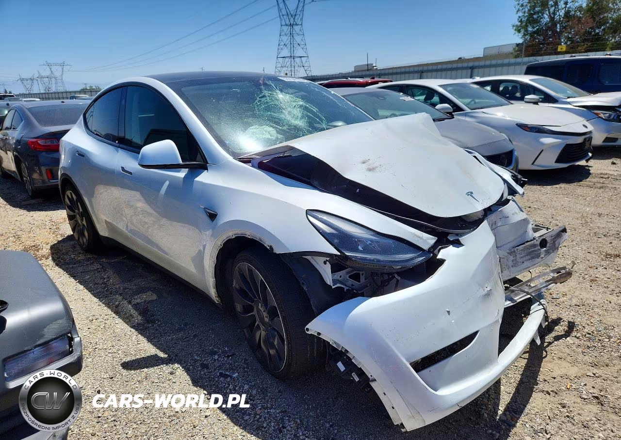 2023 Tesla Model Y VIN:7SAYGDEF7PF836731 - 4
