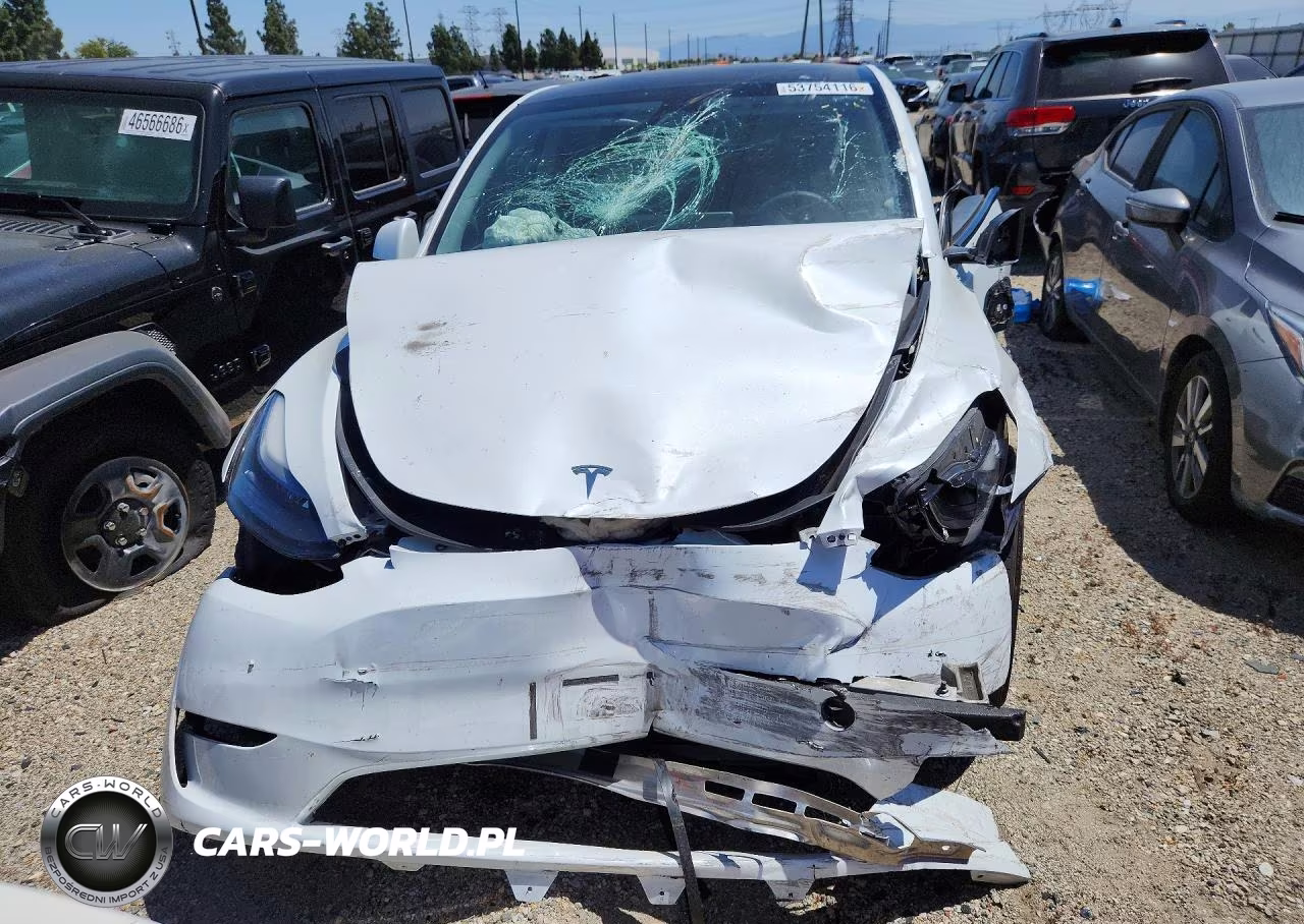 2023 Tesla Model Y VIN:7SAYGDEF7PF836731 - 5