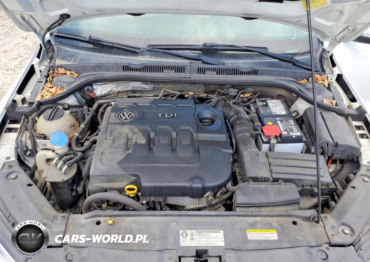 2015 Volkswagen Jetta Tdi VIN:3VWLA7AJ6FM304270 - 11