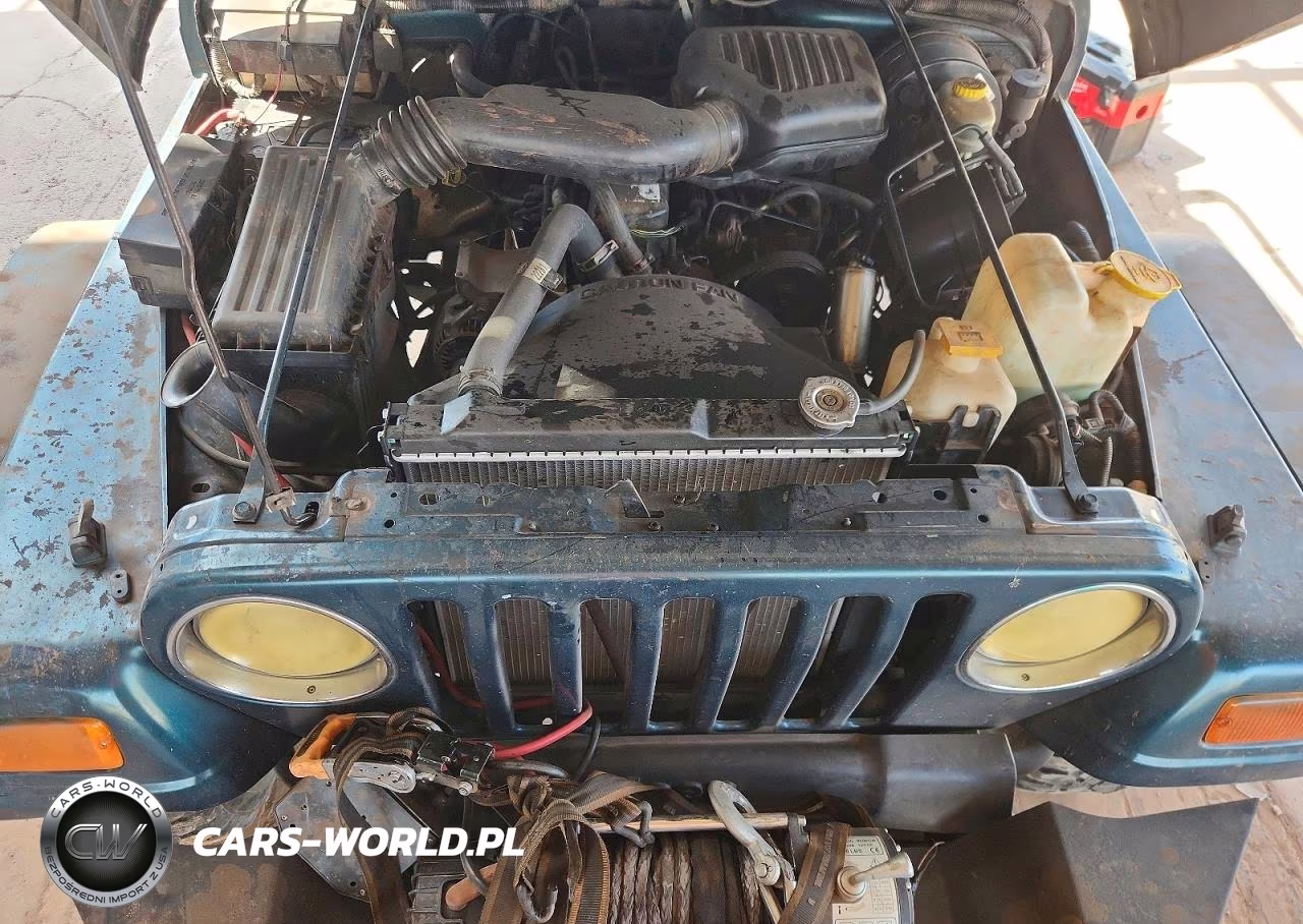 1997 Jeep Wrangler - Tj Se VIN:1J4FY29P3VP483149 - 11